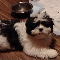 processed/a2f6151f-9466-4997-9eee-58c8d099d4d2/listing/a7f6fe22-b38c-434b-83b8-871a77108a69/41fcf288-18f7-4748-8cd4-046b8c2299d2