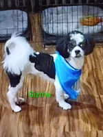 processed/a2f6151f-9466-4997-9eee-58c8d099d4d2/listing/a7f6fe22-b38c-434b-83b8-871a77108a69/8ded85a2-5ba8-4c44-9dda-2bf627e98c8b