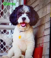 processed/a2f6151f-9466-4997-9eee-58c8d099d4d2/listing/a7f6fe22-b38c-434b-83b8-871a77108a69/b7e9941a-7851-467e-9f85-c3a3faa71ea4