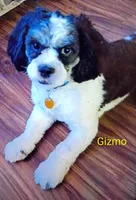 processed/a2f6151f-9466-4997-9eee-58c8d099d4d2/listing/a7f6fe22-b38c-434b-83b8-871a77108a69/c27d6b1b-5ad5-488e-b012-a5ac8b6ea6b9