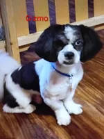 processed/a2f6151f-9466-4997-9eee-58c8d099d4d2/listing/a7f6fe22-b38c-434b-83b8-871a77108a69/df74ed6f-95f0-4737-97e4-4b8151ee172c