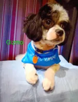 processed/a2f6151f-9466-4997-9eee-58c8d099d4d2/listing/a7f6fe22-b38c-434b-83b8-871a77108a69/e926d14a-7606-45a2-abb3-4f5dabc4c672