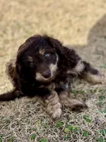 processed/a2f74817-8085-4a06-acd1-5262fb0c83a5/listing/d67ace19-ce56-430c-8384-06de56c202d6/4c68745e-b523-4332-a09b-c8958690658e