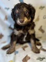 processed/a2f74817-8085-4a06-acd1-5262fb0c83a5/listing/d67ace19-ce56-430c-8384-06de56c202d6/5b6ec6d3-df21-4c64-8b2e-7f73ae5d2f93