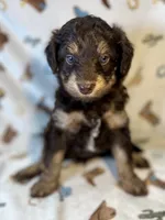 processed/a2f74817-8085-4a06-acd1-5262fb0c83a5/listing/d67ace19-ce56-430c-8384-06de56c202d6/6a139e60-1ca3-4f80-9f3e-c410459dea57