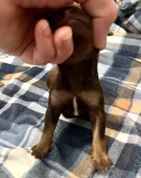 processed/a2f74817-8085-4a06-acd1-5262fb0c83a5/listing/d67ace19-ce56-430c-8384-06de56c202d6/6a20ed2b-5c56-457c-b76d-02711acad6f7