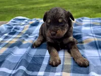 processed/a2f74817-8085-4a06-acd1-5262fb0c83a5/listing/d67ace19-ce56-430c-8384-06de56c202d6/77f88a13-d17a-47fd-8f44-086bb936cc8a