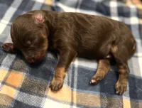 processed/a2f74817-8085-4a06-acd1-5262fb0c83a5/listing/d67ace19-ce56-430c-8384-06de56c202d6/8bc47468-e7be-4a65-adfe-21874b76206f