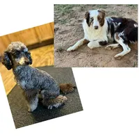 processed/a2f74817-8085-4a06-acd1-5262fb0c83a5/listing/d67ace19-ce56-430c-8384-06de56c202d6/a64f4b14-f2bf-43b6-8109-8e128e5e19f1