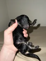 processed/a2f74817-8085-4a06-acd1-5262fb0c83a5/listing/e023f4aa-2ad8-49d1-82a0-19f81602cc54/0d06c53a-72e6-4c99-bb90-2a318d6b5957