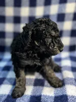 processed/a2f74817-8085-4a06-acd1-5262fb0c83a5/listing/e023f4aa-2ad8-49d1-82a0-19f81602cc54/52503914-f9b1-4919-b467-63efd865419f