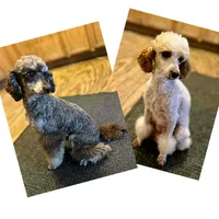 processed/a2f74817-8085-4a06-acd1-5262fb0c83a5/listing/e023f4aa-2ad8-49d1-82a0-19f81602cc54/88c12f89-8c97-495d-bcf2-793555b3f83b