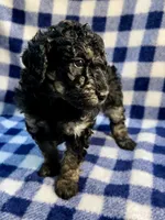 processed/a2f74817-8085-4a06-acd1-5262fb0c83a5/listing/e023f4aa-2ad8-49d1-82a0-19f81602cc54/a6d49152-7c23-497f-9a20-3488ee7a6ab7