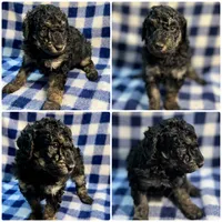 processed/a2f74817-8085-4a06-acd1-5262fb0c83a5/listing/e023f4aa-2ad8-49d1-82a0-19f81602cc54/b72a8e71-4287-407d-a59f-420360a7fa24