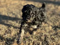 processed/a2f74817-8085-4a06-acd1-5262fb0c83a5/listing/e023f4aa-2ad8-49d1-82a0-19f81602cc54/ecb9ffed-b2e2-456c-8bfb-46fee5344c96