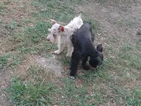 processed/a2fcf245-61f5-46b8-845e-0ffa68d0a2a1/listing/16af388c-6c0f-47e1-85a4-1870db076d59/bbb7e0a3-f9ef-4dff-bcd1-ac847f480299