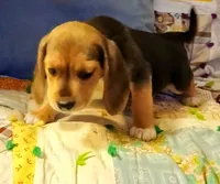 processed/a2fcf245-61f5-46b8-845e-0ffa68d0a2a1/listing/45da1d19-3224-45d1-bdad-39597619d3cc/a30cb74c-7983-420e-867c-109498603d54