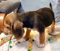 processed/a2fcf245-61f5-46b8-845e-0ffa68d0a2a1/listing/45da1d19-3224-45d1-bdad-39597619d3cc/b9986bb8-193e-4b06-8853-bfe8148f32a7