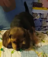 processed/a2fcf245-61f5-46b8-845e-0ffa68d0a2a1/listing/63ea9ac9-974c-4e71-ad2d-2e3e8b35702e/154a1cb4-1993-4261-8113-0e3ed04b93a3