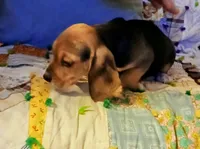 processed/a2fcf245-61f5-46b8-845e-0ffa68d0a2a1/listing/63ea9ac9-974c-4e71-ad2d-2e3e8b35702e/461d8a1b-6108-480c-9ef2-d2daa699758a