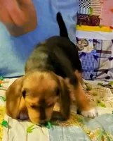 processed/a2fcf245-61f5-46b8-845e-0ffa68d0a2a1/listing/63ea9ac9-974c-4e71-ad2d-2e3e8b35702e/c2c2e50c-3a14-4710-97a1-d1e4b14a69e8