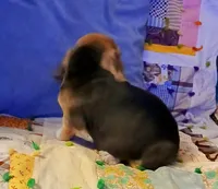 processed/a2fcf245-61f5-46b8-845e-0ffa68d0a2a1/listing/63ea9ac9-974c-4e71-ad2d-2e3e8b35702e/dbc290fd-ac55-4a07-a55f-47b00c97b532