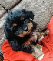 processed/a2fcf245-61f5-46b8-845e-0ffa68d0a2a1/listing/bbc7ab1e-6e84-4876-9915-6d3bcf719ba2/7f9820aa-a8df-4f07-a55c-46f1b1896787