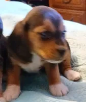 processed/a2fcf245-61f5-46b8-845e-0ffa68d0a2a1/listing/f796e6cb-2c93-41ca-bcba-01478b147bea/54780cfa-dfe5-4e52-bbb1-4a589928c257