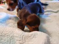 processed/a2fcf245-61f5-46b8-845e-0ffa68d0a2a1/listing/f796e6cb-2c93-41ca-bcba-01478b147bea/cab911b8-c8ed-4688-a718-5e5920e94651