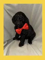 processed/a301856a-ec07-48fe-b0d4-9fd927842fd4/listing/54bd26e7-7f14-4eea-9842-44b39b6c0842/0c7fcabd-31b0-424d-ae94-302ff467956d