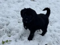 processed/a301856a-ec07-48fe-b0d4-9fd927842fd4/listing/54bd26e7-7f14-4eea-9842-44b39b6c0842/7c416bea-602f-4271-a396-d9e976d822b5