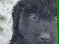 processed/a301856a-ec07-48fe-b0d4-9fd927842fd4/listing/54bd26e7-7f14-4eea-9842-44b39b6c0842/dcafa59f-33c8-428b-9973-f6ac217d8889