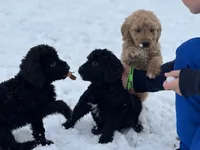 processed/a301856a-ec07-48fe-b0d4-9fd927842fd4/listing/54bd26e7-7f14-4eea-9842-44b39b6c0842/e3e2131d-15a8-400b-825f-5b479617b9d4