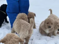 processed/a301856a-ec07-48fe-b0d4-9fd927842fd4/listing/6e0743a5-9bb2-40b7-94e6-73b25849ba9b/202682dc-0b27-4723-9989-f3837308b045