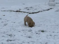 processed/a301856a-ec07-48fe-b0d4-9fd927842fd4/listing/6e0743a5-9bb2-40b7-94e6-73b25849ba9b/8e9ea6ad-1bcb-49d3-8005-ca23d363afc4