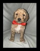 processed/a301856a-ec07-48fe-b0d4-9fd927842fd4/listing/6e0743a5-9bb2-40b7-94e6-73b25849ba9b/bb9823b6-fc89-49ec-9bda-5a5fae6505fd