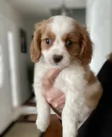 processed/a3048a5a-dd71-4f69-8a88-2794975825bf/listing/8089b341-0c11-4677-9650-931f698f3fd3/3409086b-b71d-410a-bb59-cbfd6b688eb7