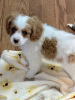 processed/a3048a5a-dd71-4f69-8a88-2794975825bf/listing/8089b341-0c11-4677-9650-931f698f3fd3/fc4e1c21-7f8e-42ed-bdbb-aa732d05e4ad