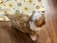 processed/a3048a5a-dd71-4f69-8a88-2794975825bf/listing/c7c54dce-83ca-434b-9ae2-41b762e7a9fe/c85333d0-9301-49a3-b205-0ccc08d4021a