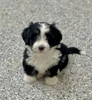 processed/a3048a5a-dd71-4f69-8a88-2794975825bf/listing/f4c70814-51ab-4f8e-b960-dfa7a15990bc/346c5335-f2fa-4f7d-b0a8-e41dbc618abf