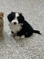 processed/a3048a5a-dd71-4f69-8a88-2794975825bf/listing/f4c70814-51ab-4f8e-b960-dfa7a15990bc/6da2903f-b465-4078-92db-eae77264cc47