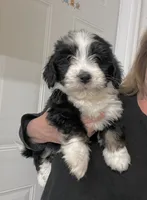 processed/a3048a5a-dd71-4f69-8a88-2794975825bf/listing/f4c70814-51ab-4f8e-b960-dfa7a15990bc/8b4bfae9-fbd7-4c38-be92-fe652b0caca2