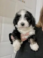 processed/a3048a5a-dd71-4f69-8a88-2794975825bf/listing/f4c70814-51ab-4f8e-b960-dfa7a15990bc/e37c2e29-84c3-421e-98ce-e549bf019eb7