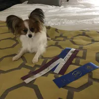 processed/a314b167-b57a-4ef9-9e9c-38fd8efabf99/facility/5ff504f0-a7cf-4b25-b7fd-aca8e14e03a1