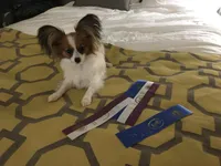 processed/a314b167-b57a-4ef9-9e9c-38fd8efabf99/facility/5ff504f0-a7cf-4b25-b7fd-aca8e14e03a1