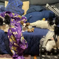 processed/a314b167-b57a-4ef9-9e9c-38fd8efabf99/facility/ff60d971-0246-4cf7-ae25-3289a91e8473