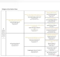 Stacy, Multi Champion sired, a female Papillon for sale in Elk River, MN – Photo 2 of 2