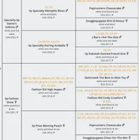 Male DS8 Multi CH pedigree, a male Papillon for sale in Elk River, MN – Photo 3 of 3