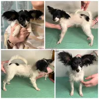 processed/a314b167-b57a-4ef9-9e9c-38fd8efabf99/listing/4a287f4f-005f-48d3-b85d-4e07403986ff/95bfe53d-12bf-42c3-a893-5a1f7d2aa1a5