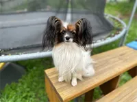 processed/a314b167-b57a-4ef9-9e9c-38fd8efabf99/listing/4a287f4f-005f-48d3-b85d-4e07403986ff/d5a50068-d976-493a-9e8f-aa1d03396143